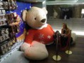 /album/peluches/a2958156367-47e2b41c51-gimp-jpg/